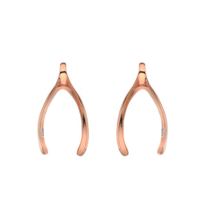 Make a Wish Earrings - Rose Gold Plated