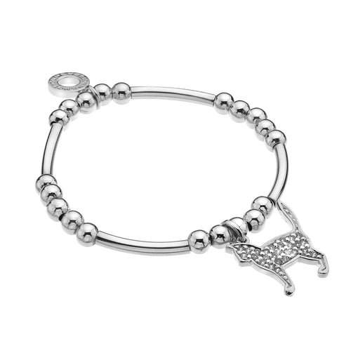 Curious Cat Bar Bracelet