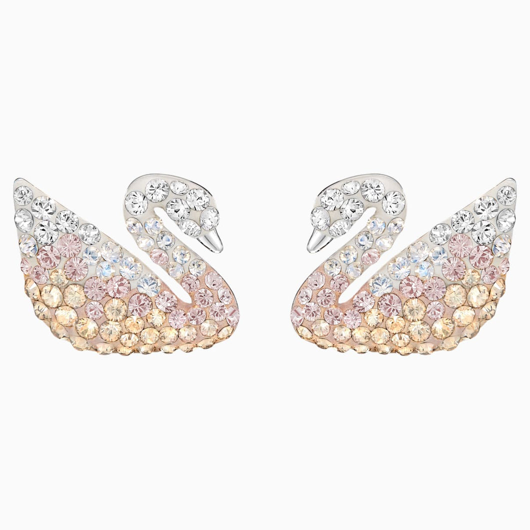 Swarovski Iconic Swan Pierced Earrings, Multi-coloured, Rhodium plated